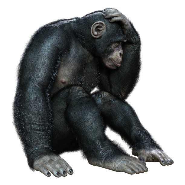 ape