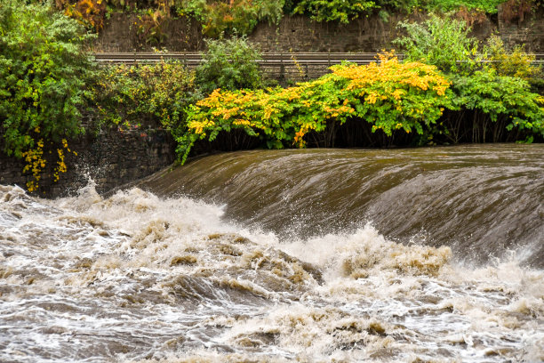 rapids