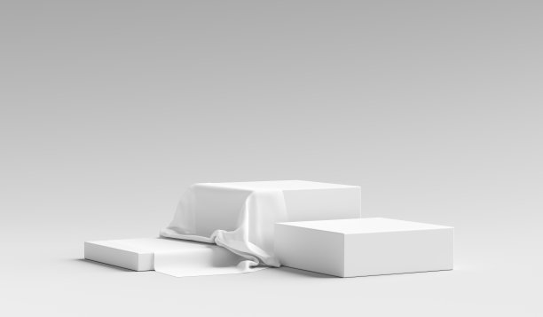 时尚简约产品包装设计