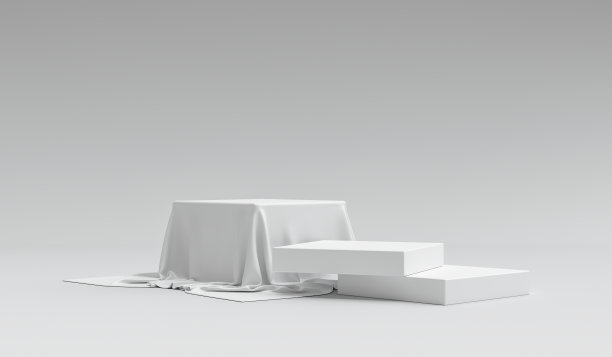 时尚简约产品包装设计