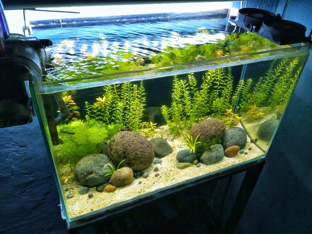 aquarium