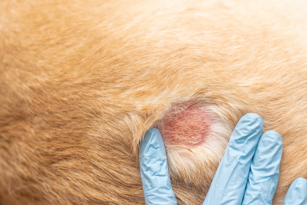 inflammation