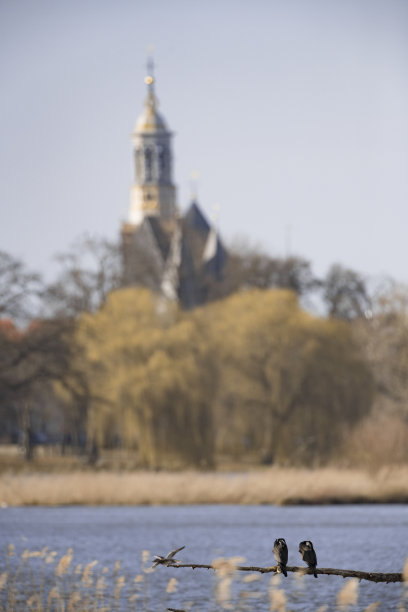 kampen