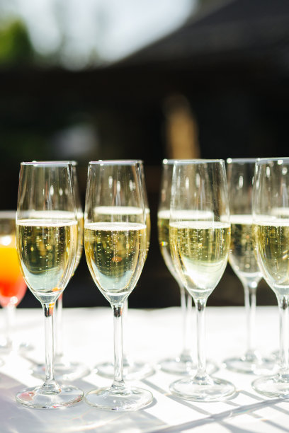 高端酒会酒局酒宴