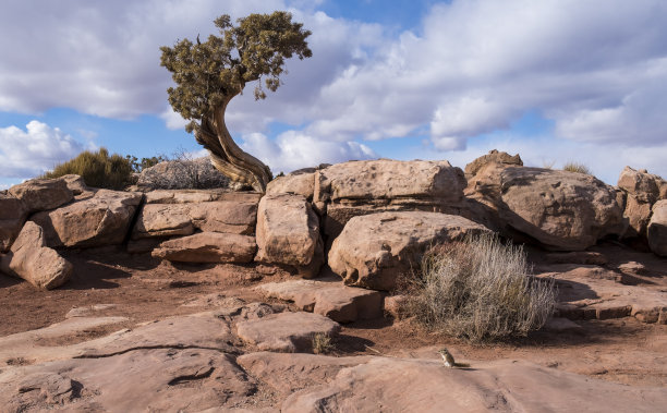 boulder