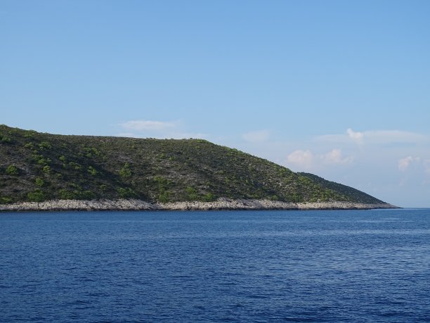 vis