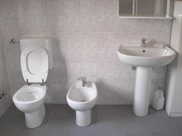 bidet