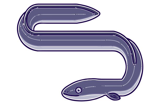 eel