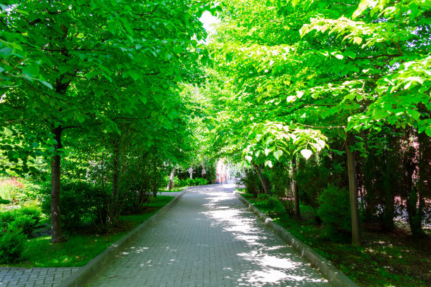 avenue