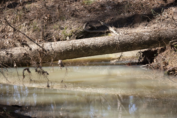 backwater