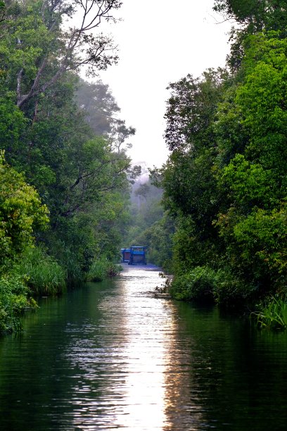 kalimantan