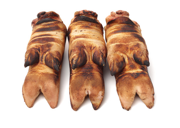trotter