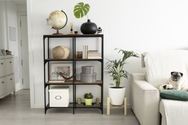 极简北欧风格的客厅设计