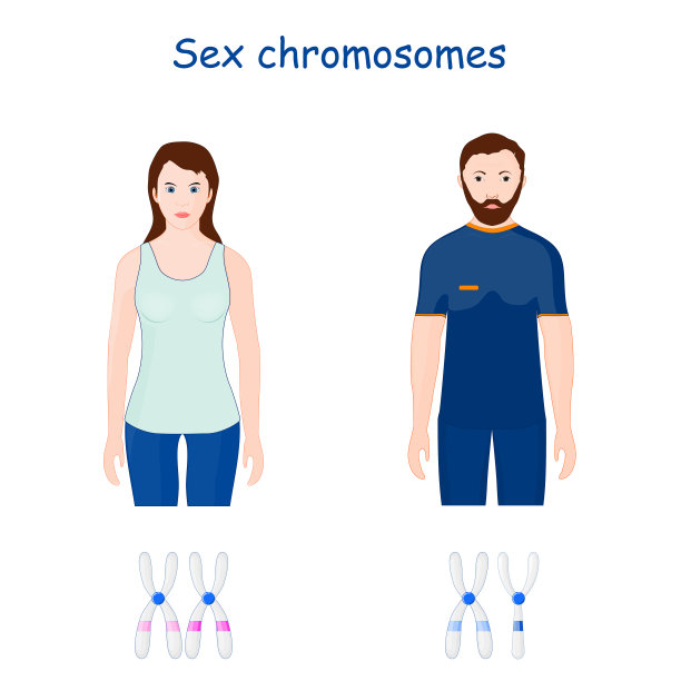 chromosone