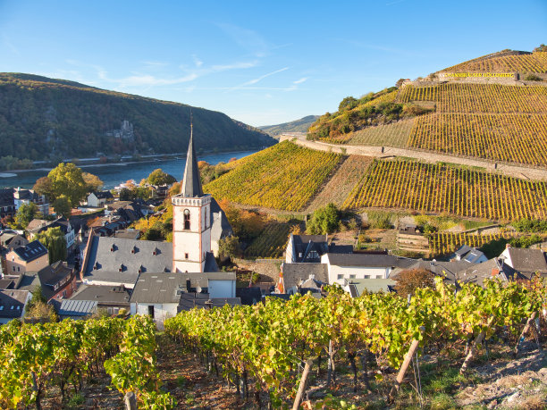 rudesheim