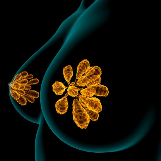 breast