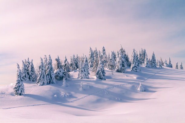 snowfall