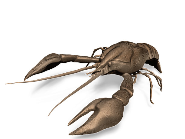 无脊椎动物标志