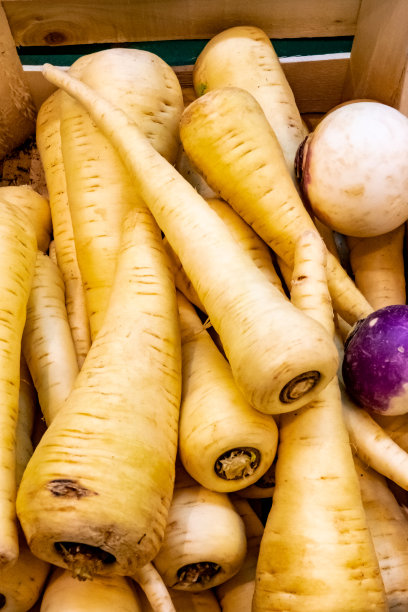 根茎类蔬菜