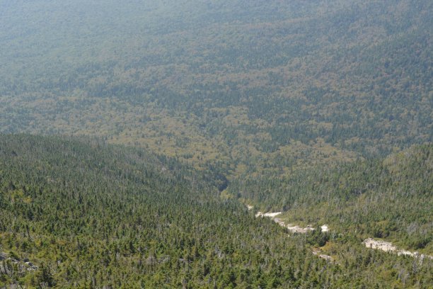 adirondack