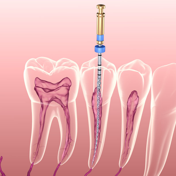 teeth