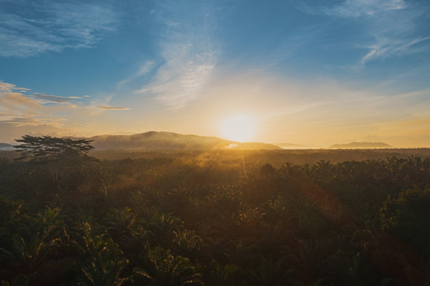 borneo