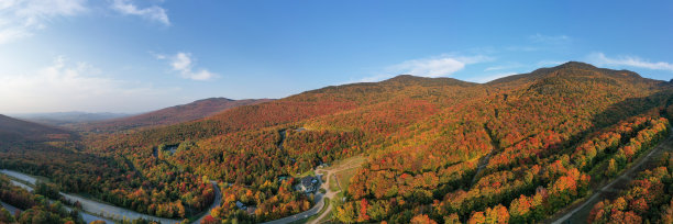 vt