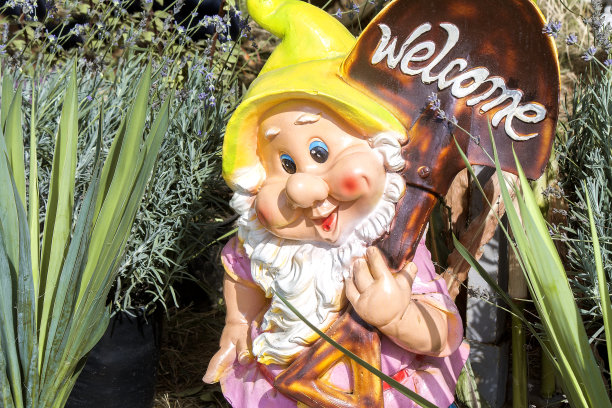 gnome
