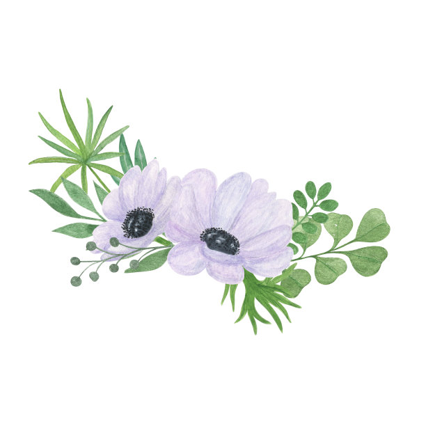 anemone