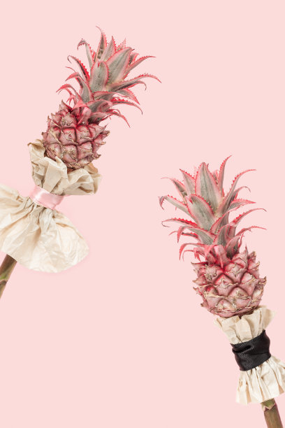 热带植物水果图案 夏季女装印花