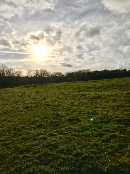 surrey