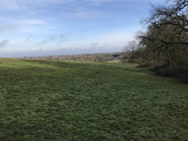 surrey