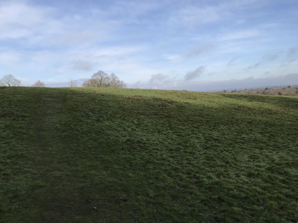 surrey