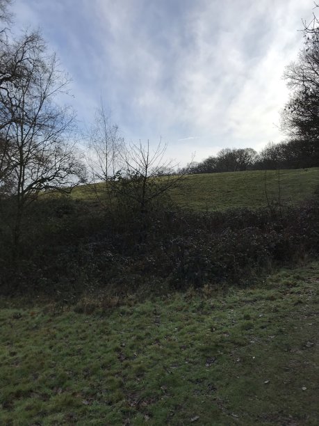 surrey