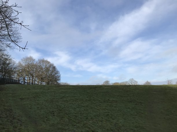 surrey