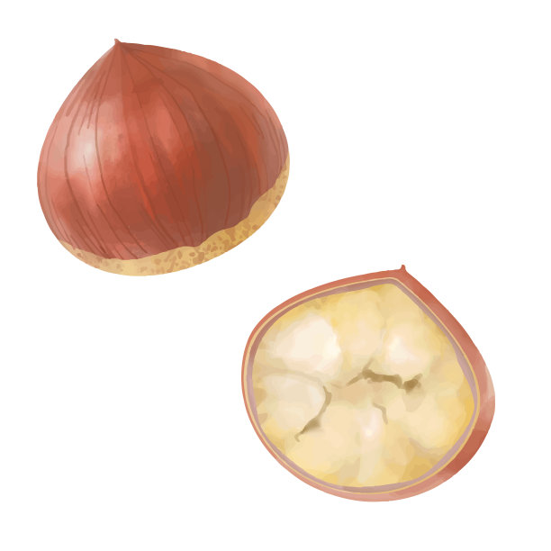 chestnut