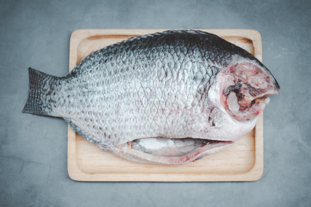 tilapia