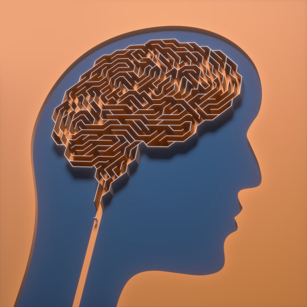 cerebrum