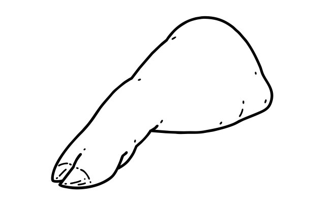 trotter