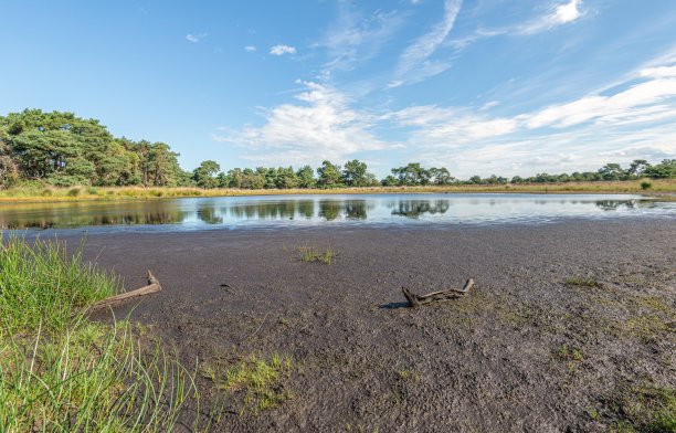 fen