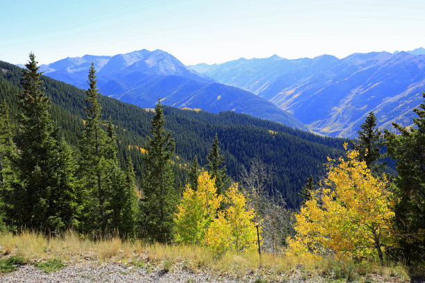 aspen