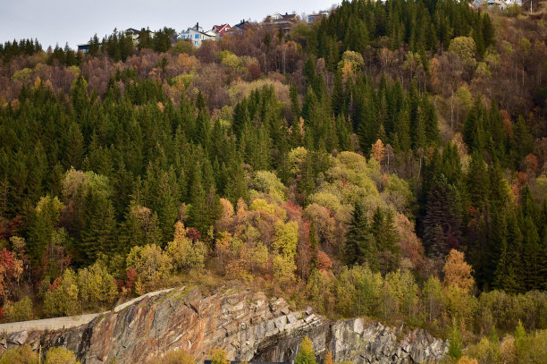 narvik