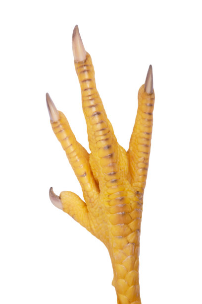 pincer