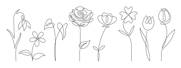 花朵线条