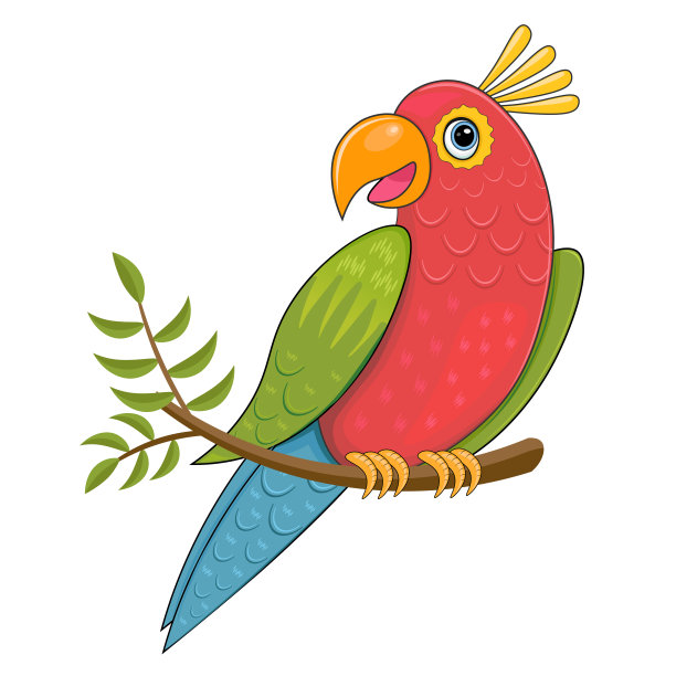 macaw
