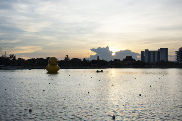城市公园的大黄鸭