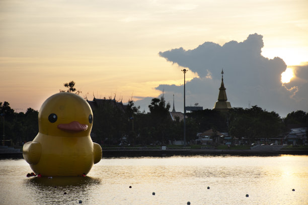 城市公园的大黄鸭