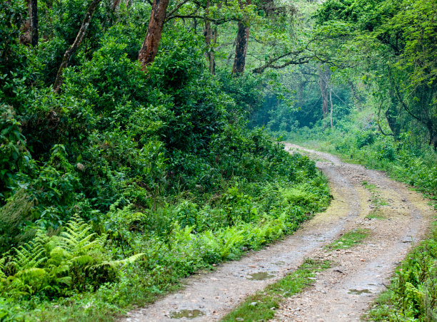 chitwan