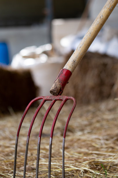 rake