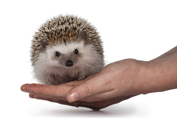 spiked